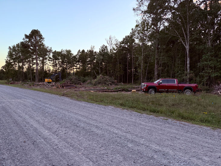 Wooded property before trees and dense brush were cleared