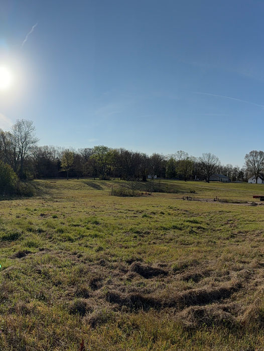 Uncleared lot before full site prep and grading in Conway AR — Hyslip Excavation