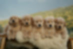 DSC04951.jpeg