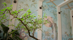 B63D4043-D53B-43ED-81CC-106E80AB6BC8.jpeg