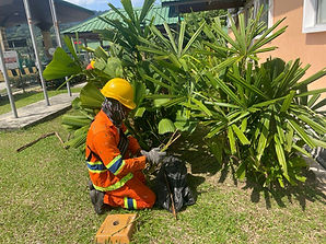 WhatsApp Image 2025-10-31 at 2.16.47 PM.jpeg