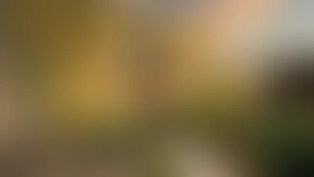 How to Build a Brand That Makes Clients Choose You Before They Even Meet You