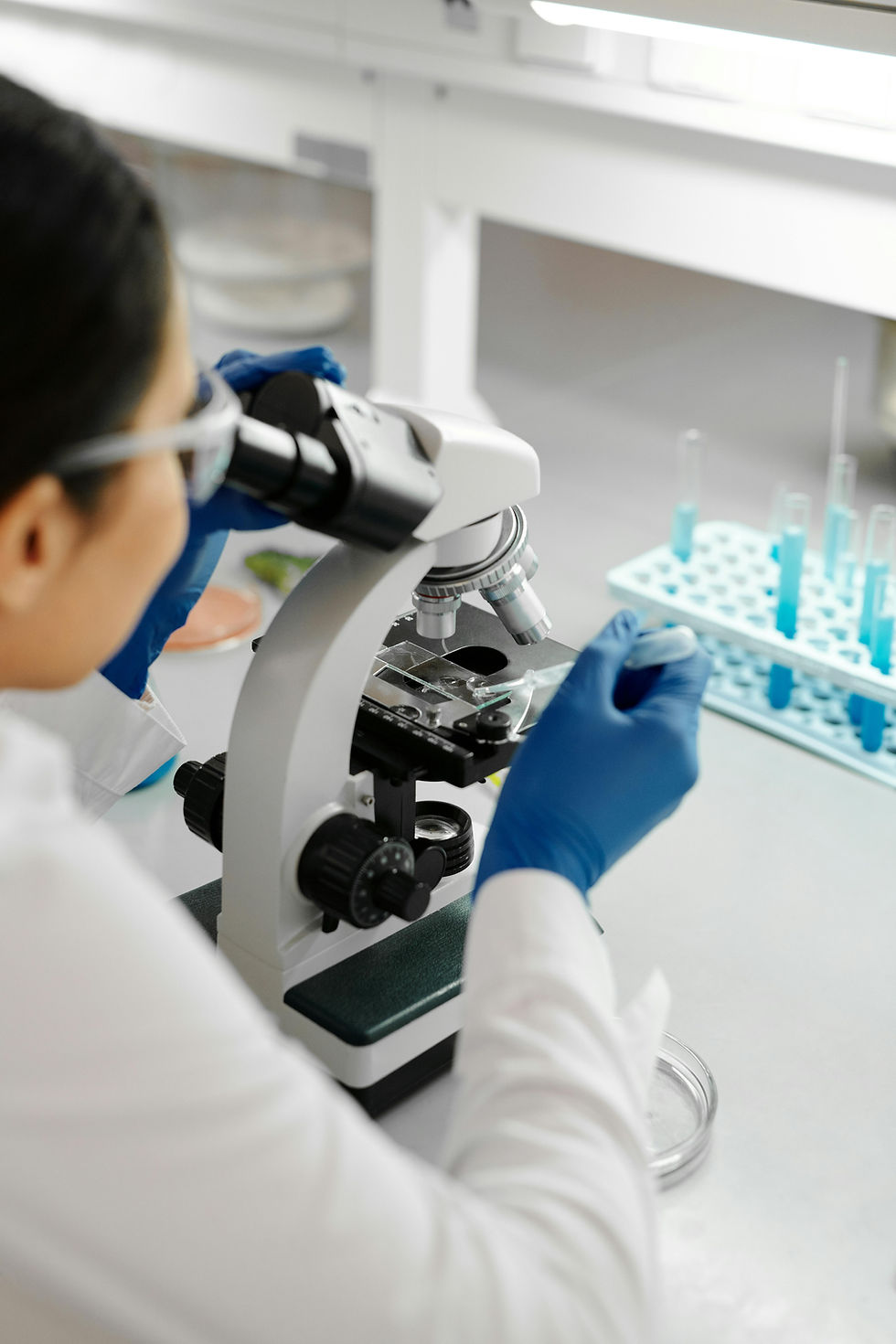 Why Is the IVF Laboratory So Important for Surrogacy in Mexico?