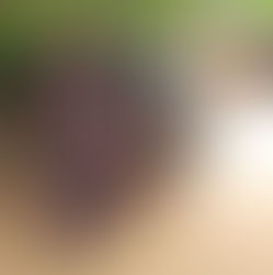 Top actor Yul Edochie declares intention to contest for the presidency