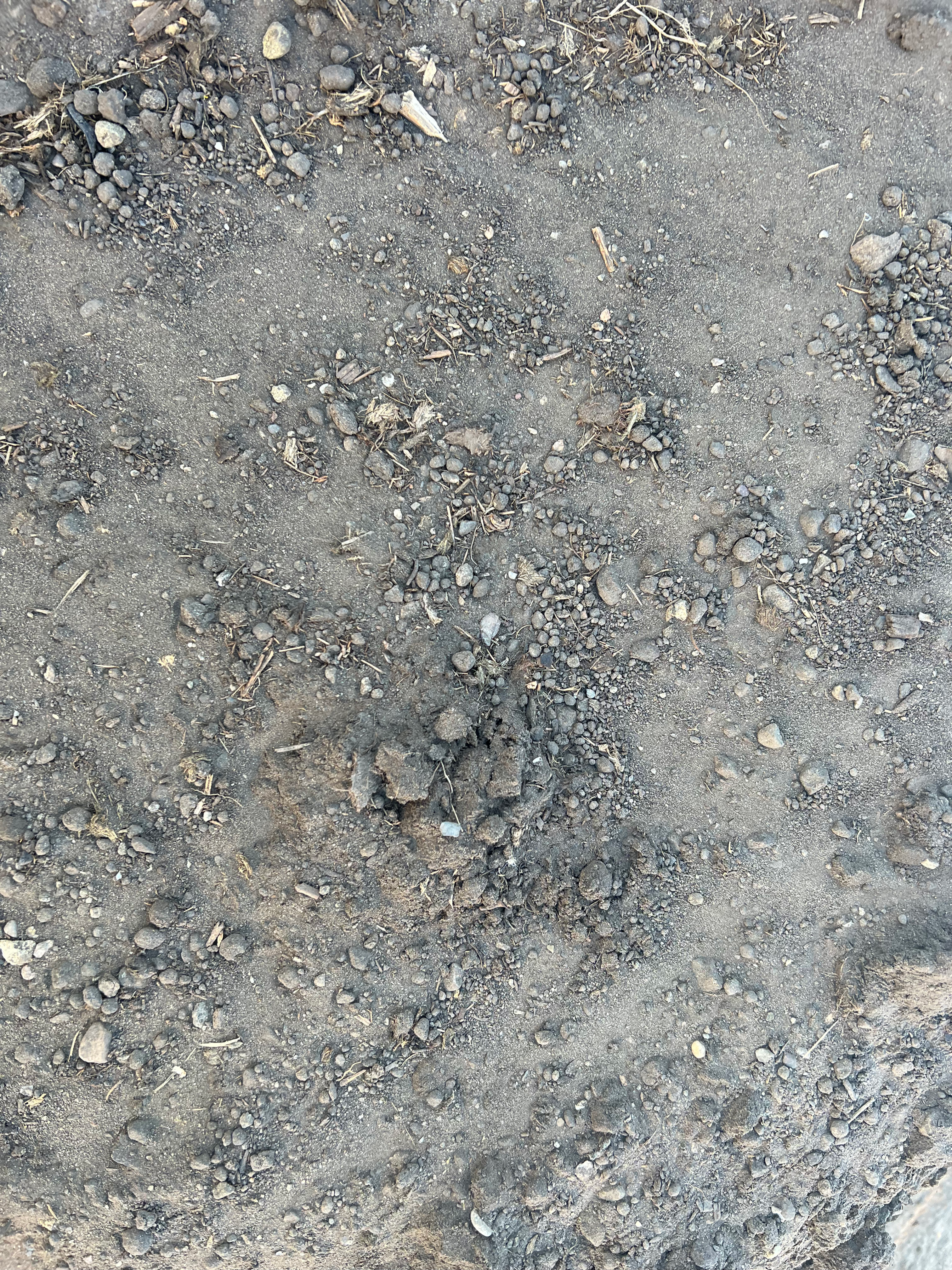 Garden Mix. $/cubic yard