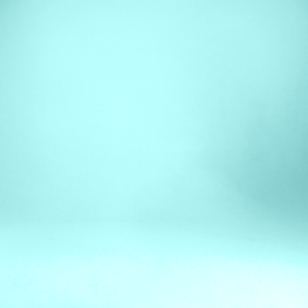 Fondo Ine.png