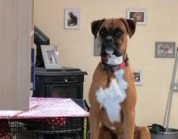 IMG_20210928_180147_180_edited