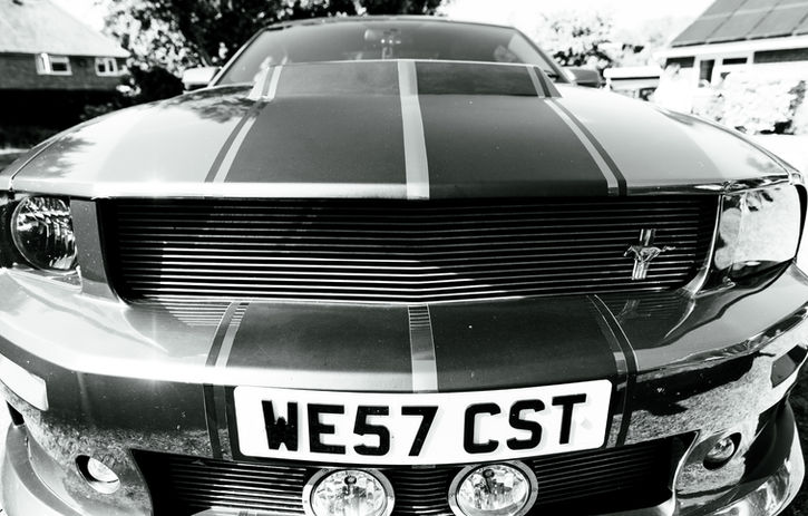 mustang