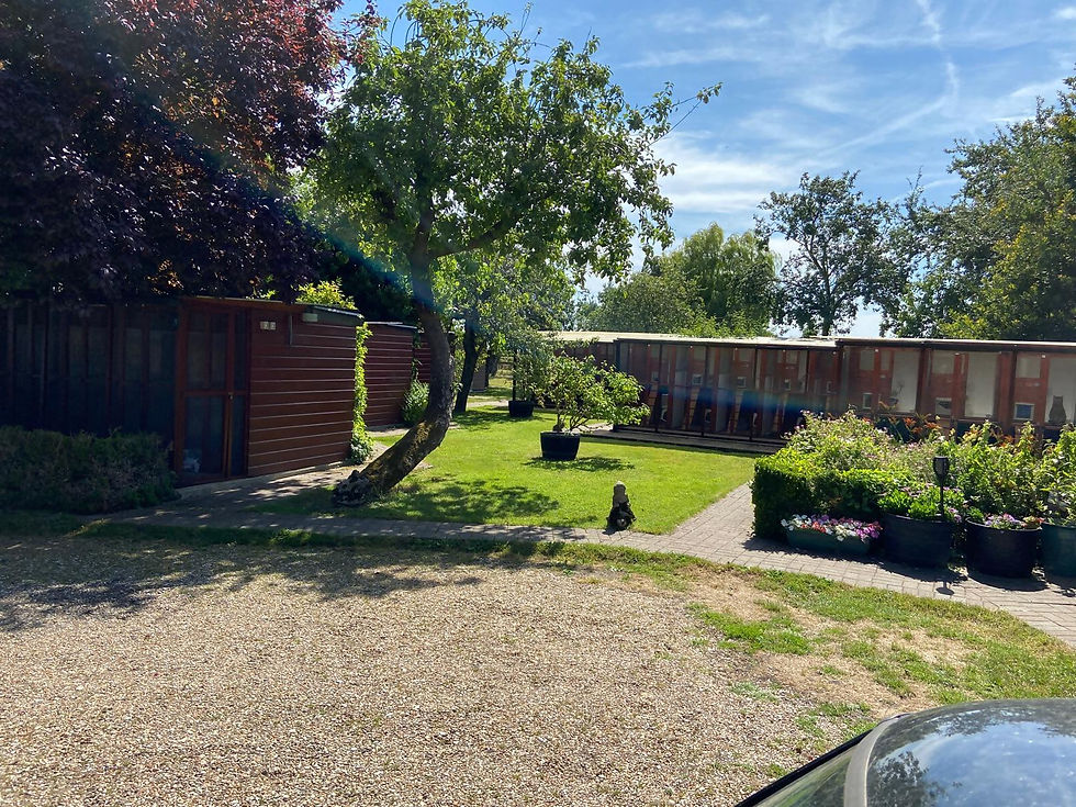 Cattery with lots of greenery