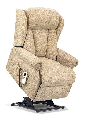 Std. Cartmel Riser Recliner pg24 (F).jpg