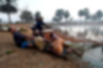 Hauling in the nets