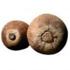 babasu-seed-oil.jpeg