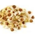 moringa-seed-oil.jpeg