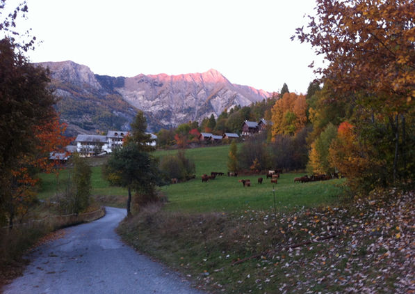 Le gîte 05 - derriere les arbres de retour de randonnée.jpg