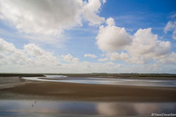 Baie de Somme (10).jpg