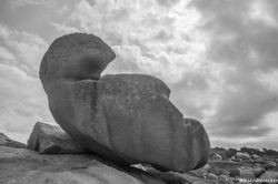 Tête de piaf [Bretagne]