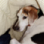 Patches