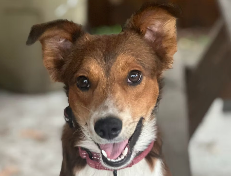 Screenshot 2026-02-13 at 8.04.14 PM