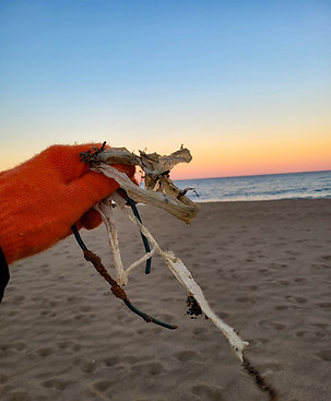 Beach clean up trash