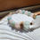 Thumbnail: Handmade white sea glass bracelet with rose quarz and amazonite beads, coconut shell beads, and blue recycled glass beads