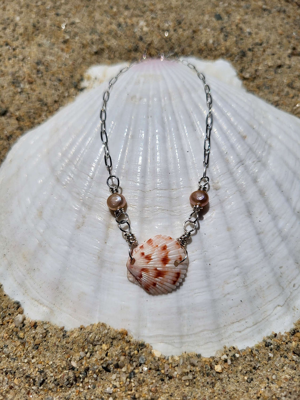 A sterling silver paperclip chain bracelet with a white and pink scallop shell and two pink freshwater pearls