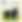 IMG_4600.PNG