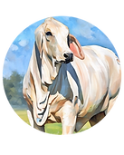 Untitled design-33.png