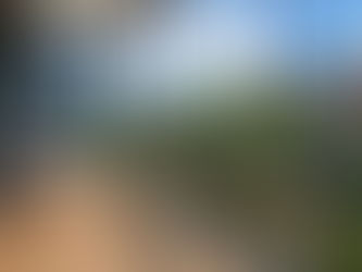 Aluminum vs. Vinyl Windows: Which One Is Right for Your Home?