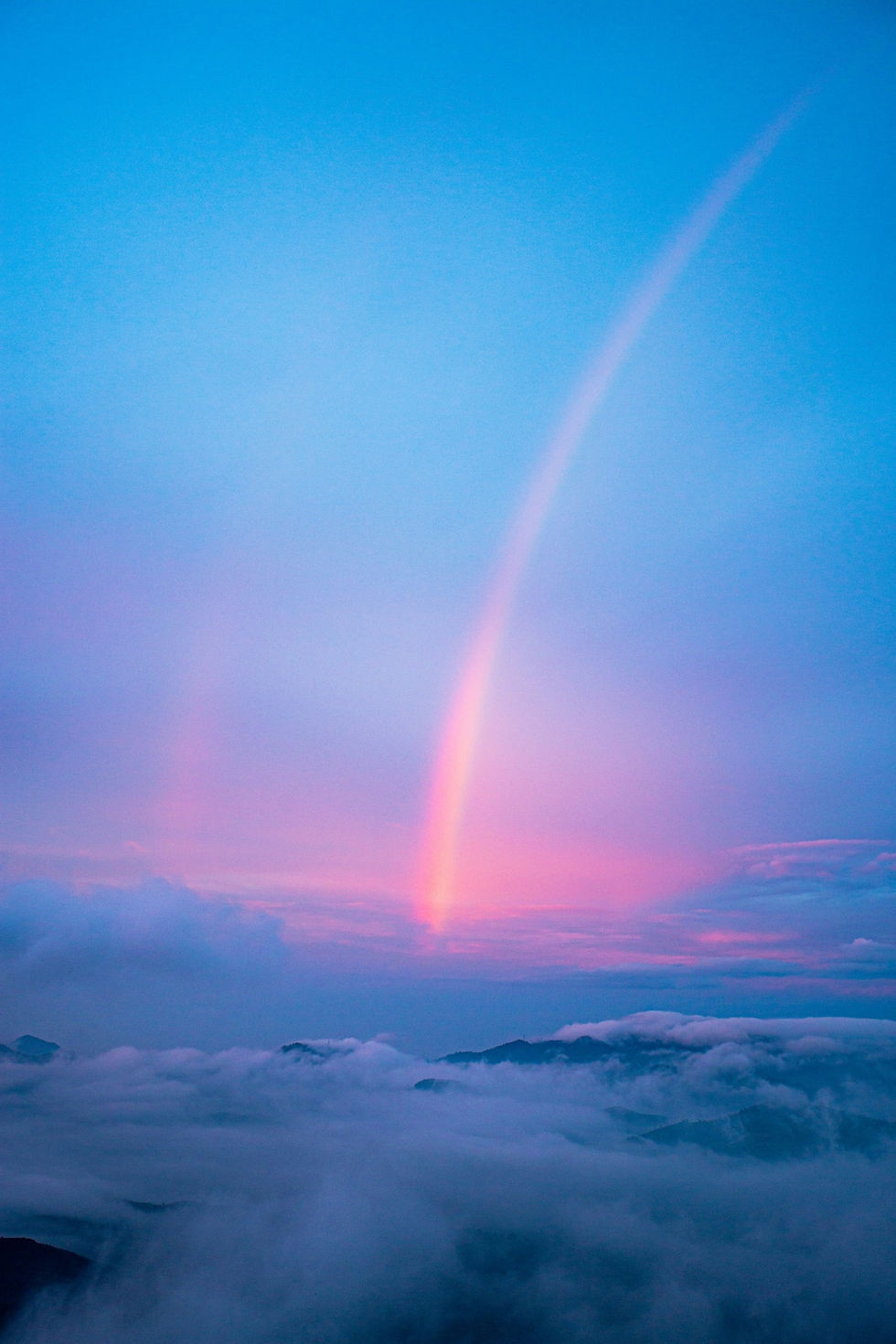 julia-joppien-VcNd2JX-y0s-unsplash 1