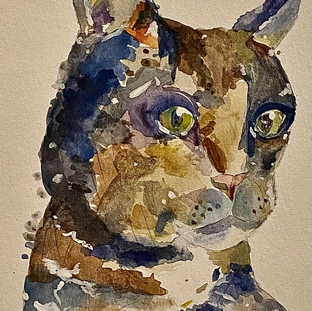 kitty.heic