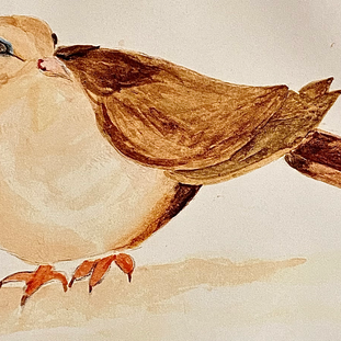 birdy.heic