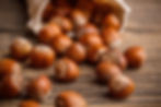 nocciole.jpeg