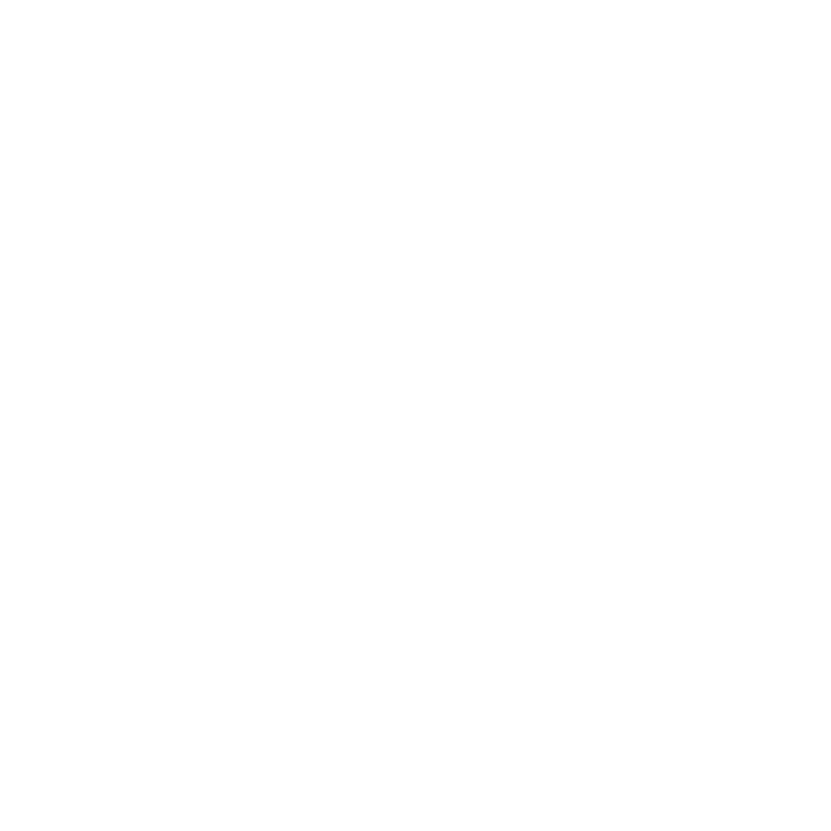 Brunswick Brazilian Jiu-Jitsu logo
