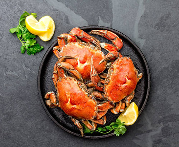 istockphoto-905372276-612x612.jpg