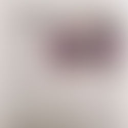 La Côtière : Les marcheurs d'E. Macron se mobilisent pour l'Europe