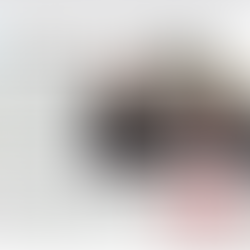 Inauguration de la mairie de Chevry