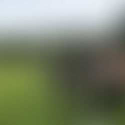 À la rencontre du CS Belley, club de football