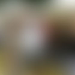 Moment convivial à la Fête de la Valserine