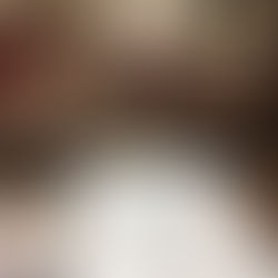 1 an d'action dans l'hémicycle : bilan !