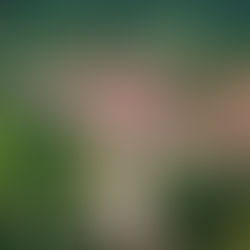 Permanence parlementaire le 3 mars à Massignieu-de-Rives