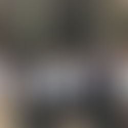 Visite officielle en Suisse