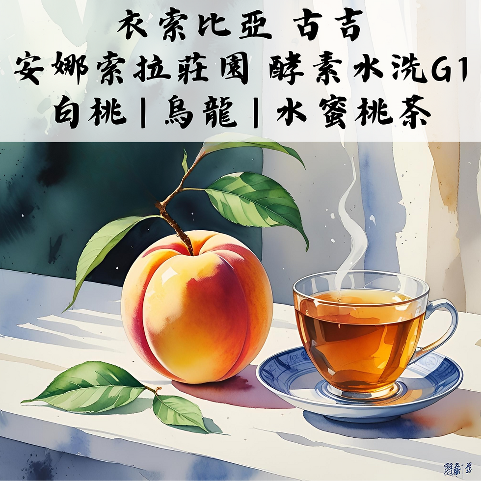 衣索比亞 | 古吉 | 安娜索拉莊園 | 酵素水洗 G1