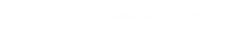 Copy of Untitled (3).png
