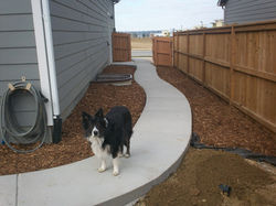Concrete and Deck Pictures--Fall 2012--Chris Carr Deck 2012 047.jpg