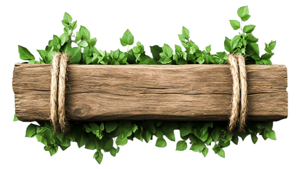 vecteezy_rustic-wooden-sign-surrounded-by-vibrant-green-foliage-decor_56254140.png