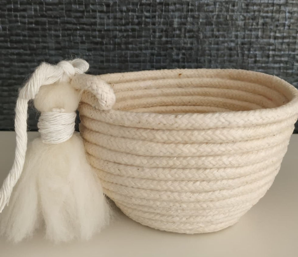 Captura de ecrã 2022-02-22 113233_edited