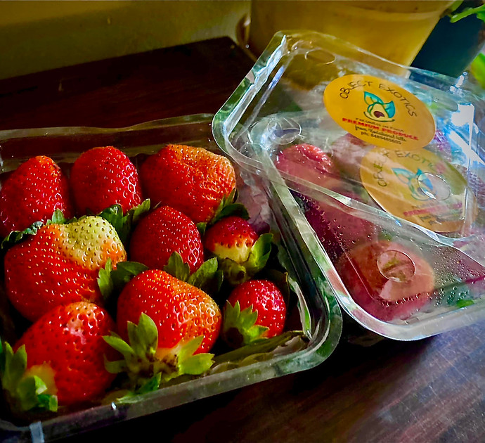 object exotics branded strawberries