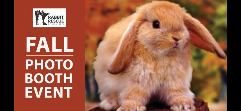 RRMN Romp & Spa and Photo Booth - Sunday