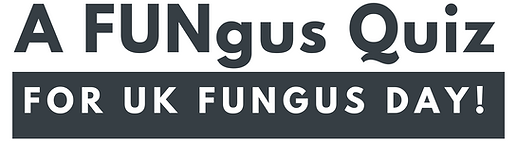 UK Fungus Day logo (1771 × 633px).png