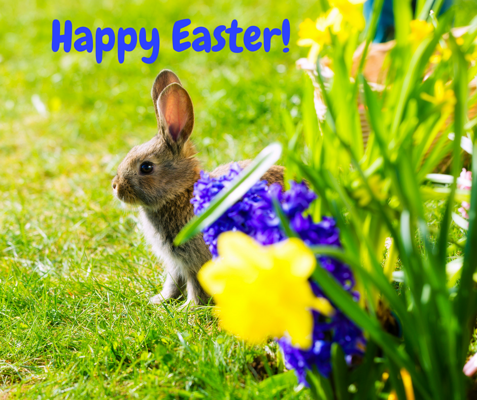 Happy Easter from A Growing Concern Garden Center in Hendersonville